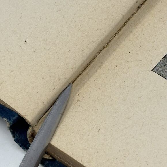 Physical Culture Preece 1894 Antique Prepared Expressly for Public School Work - Picture 10 of 14